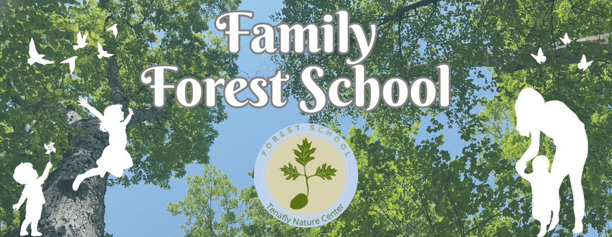 Summer Family Forest School Non-Members